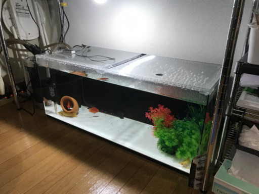 アクリル水槽　91.5×36×36 白底　背面ブラック