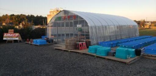 メダカ販売 大竹 ひたち野うしくのその他の中古あげます 譲ります ジモティーで不用品の処分