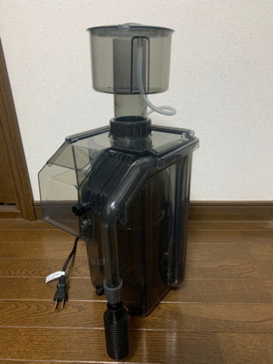 海道達磨　大