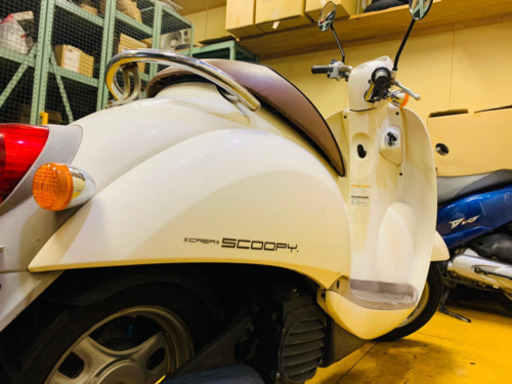 AF55 クレアスクーピーHONDA 原付 50cc | pcmlawoffices.com