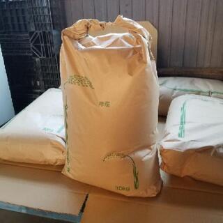 お米 新米 ハツシモ(玄米) 30kg