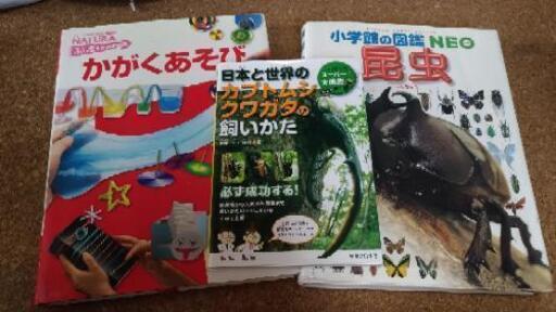 翌日完売 かがくあそび昆虫図鑑カブトムシの飼い方 りぃ おもろまちの家具の中古あげます 譲ります ジモティーで不用品の処分 翌日完売 かがくあそび昆虫図鑑カブトムシの飼い方 りぃ おもろまちの家具の中古あげます 譲ります ジモティーで不用品の処分