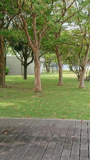 禅タロット 幸せのカード占い 風まかせ 高城のフリーマーケットのイベント参加者募集 無料掲載の掲示板 ジモティー