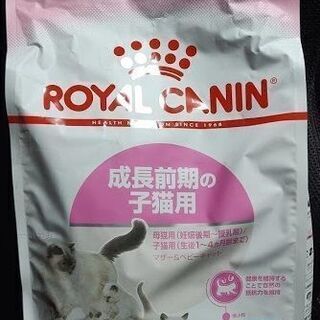 ロイヤルカナン マザー＆ベビーキャット 4kg 成長前期の子猫用 1