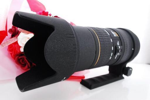 ★全国発送対応★SIGMA APO 50-500mm F4-6.3D EX HSM Nikon