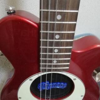 ピグノーズのアンプ内蔵ギター chateauduroi.co