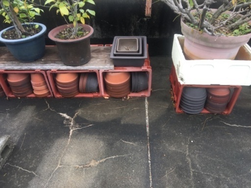植木鉢植木 タカバ 徳島のその他の中古あげます 譲ります ジモティーで不用品の処分