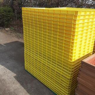 商談中です。ほしいも用すだれ。プラスチック製60枚+木枠製40枚