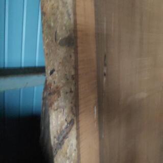 木材　平板　DIY　日曜大工　1枚板