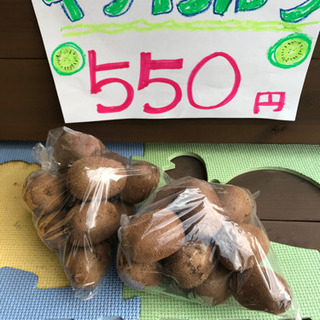 キウイフルーツ一キロ550円