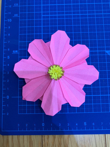 コスモス 壁面飾り ハンドメイド30枚 ゆうこ 梅小路京都西の生活雑貨の中古あげます 譲ります ジモティーで不用品の処分 コスモス 壁面飾り ハンドメイド30枚 ゆうこ 梅小路京都西の生活雑貨の中古あげます 譲ります ジモティーで不用品の処分