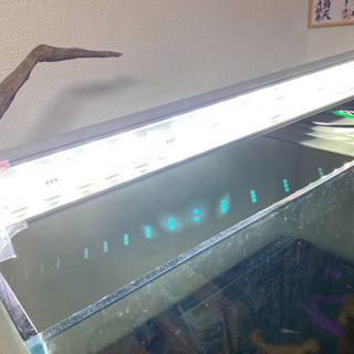 90㎝　ガラス水槽　LEDライト　外部フィルター　キャビネット　ポンプ