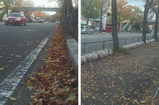 洛西ニュータウンの道路の落ち葉 ポイ捨てゴミごみ拾いしよーーー Taka0107 京都のボランティアのメンバー募集 無料掲載の掲示板 ジモティー