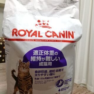 キャットフード ロイヤルカナン  4kg 