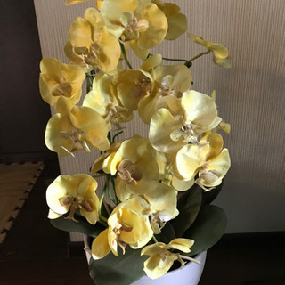 玄関にぴったりの消臭効果のある造花　購入時10,000円