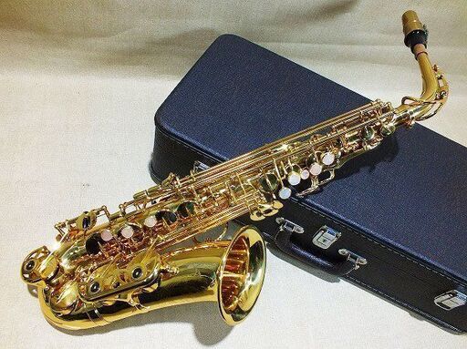【苫小牧バナナ】ヤナギサワ/YANAGISAWA エントリーモデル アルトサックス A-50 彫刻模様入り ハードケース付き 音出しOK♪