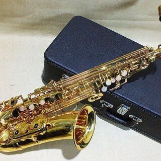 苫小牧バナナ】ヤナギサワ/YANAGISAWA エントリーモデル アルト 