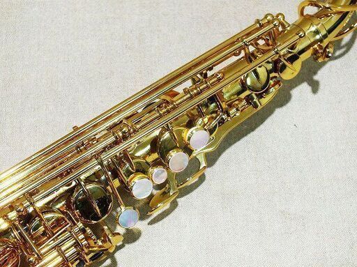 苫小牧バナナ】ヤナギサワ/YANAGISAWA エントリーモデル アルト