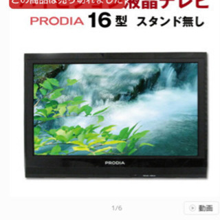 prodia テレビ