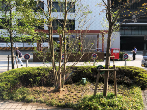 庭木の剪定 除草など簡単なお見積もりから 庭師 造園屋 川西の剪定 造園の無料広告 無料掲載の掲示板 ジモティー