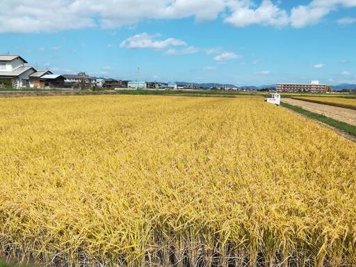 5年産☆★新米 ヒノヒカリ 玄米30キロ 安心の生産者 名前入り 1袋からOK②