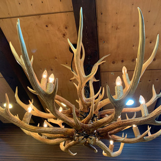 鹿角シャンデリア　