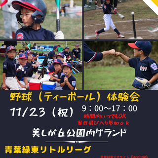 毎週土日・秋の体験会⚾