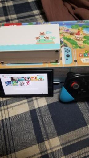 Switchソフト24本以上