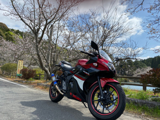 GSX250Ｒ売ります！（ただ今交渉中）