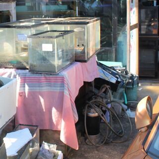 その他 熱帯魚用品 多数入荷
