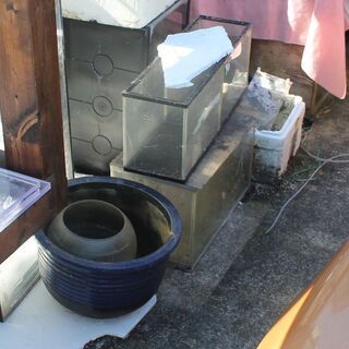 その他 熱帯魚用品 多数入荷