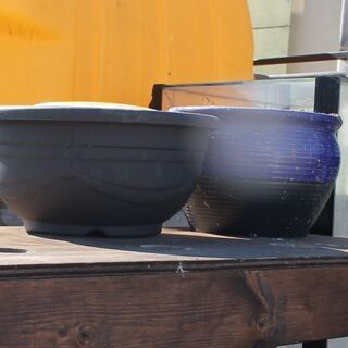 その他 熱帯魚用品 多数入荷