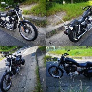 ☆ハーレー・スポーツスターXLH1200C（カスタム）03年式100周年モデル☆ ☆ハーレー・スポーツスターXLH1200C（カスタム）03年式100周年モデル☆