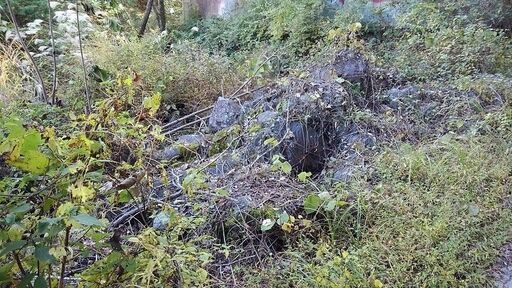 値下げ!!】青石(高遠石)含む庭石 大小かなりの数あります!!