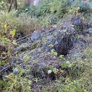 値下げ!!】青石(高遠石)含む庭石 大小かなりの数あります!! 【公式通販】