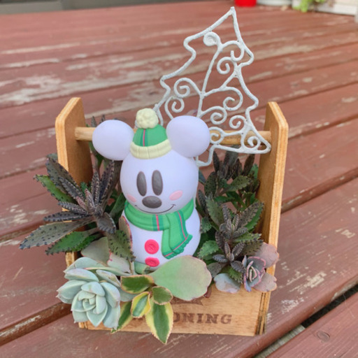 クリスマスバージョン ★このまま飾れる★多肉植物 寄せ植え ミッキー