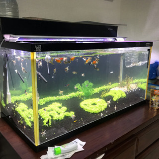 [最終値下げ] アクリル水槽セット　90cmx45cmx50cm 最終値下げ] アクリル水槽セット 90cmx45cmx50cm 2025年最新