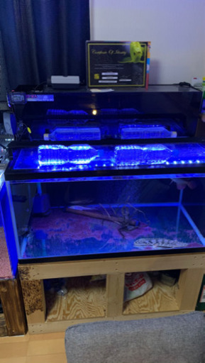 オンラインでアウトレットを割引 水槽フルセット 台 魚 Southdevonsound Co Uk