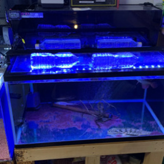 水槽フルセット 台 魚 エクセネル 新川のおもちゃの中古あげます 譲ります ジモティーで不用品の処分