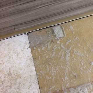 ロングボード DICK BREWER