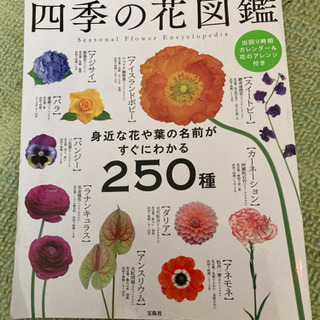 四季の花図鑑　250種