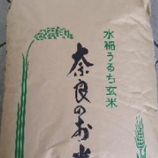 玄米　生産奈良県今年収穫　生産者代理出品