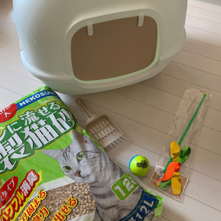 猫　トイレセットとおもちゃ