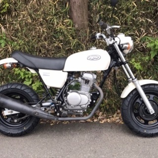 ホンダエイプ50✨ノーマル車❗️