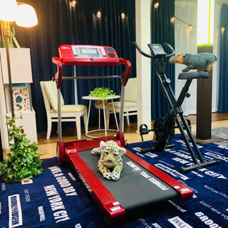 🏃❤️健康器具2点セット🏃‍♀️‼️‼️❤️❤️🎊