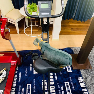 🏃❤️健康器具2点セット🏃‍♀️‼️‼️❤️❤️🎊