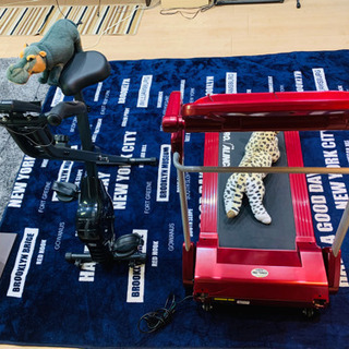 🏃❤️健康器具2点セット🏃‍♀️‼️‼️❤️❤️🎊