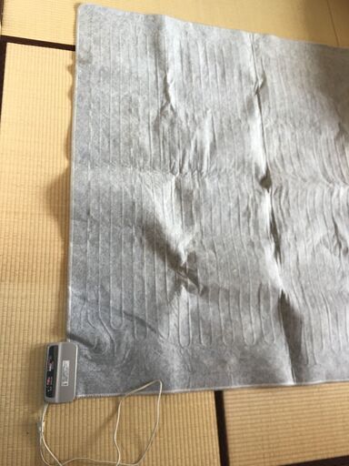 交渉中　ホットカーペット　2畳分　まだまだ使用可能です。