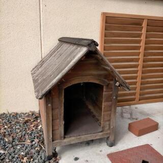 正規品 スペインcopele 犬小屋 スペインcopele ドッグハウス Pvcドッグケンネル 在庫限りセール Detectoresfisher Com