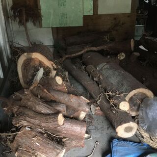 杉丸太木材